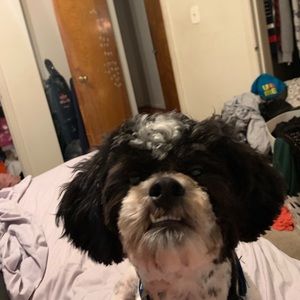 Meet your Posher, Christian